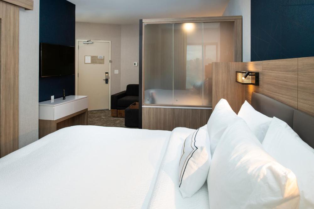 Suite, 1 King, Trundle bed, City view interior